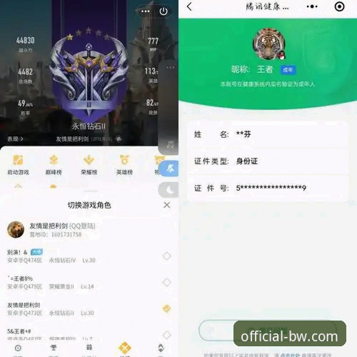 宝威体育官网登录体验报告：剖析“宝威BW快速登录”的创新与效率