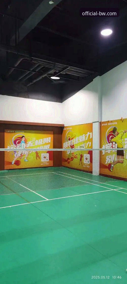 宝威体育官网：一站式平台与单一入口的深度对比——宝威BW是什么平台？