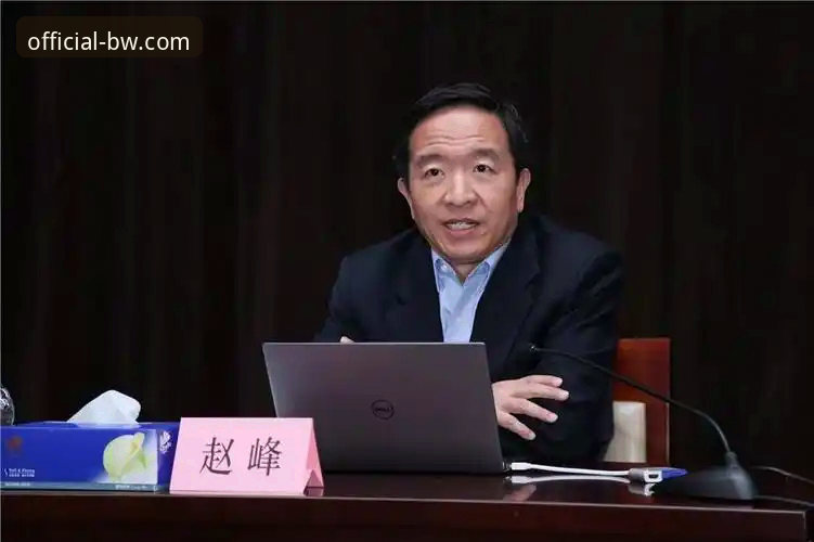 资深用户赵峰亲测：宝威BW便捷登录的完整实战经验与官网访问指南